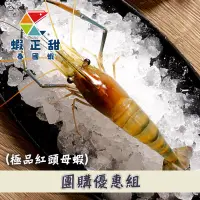 在飛比找台灣好農優惠-(5盒組)極品紅頭母蝦 (約14~16隻/盒)#蝦正甜泰國蝦