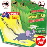 Large Size Mice Mouse Rodent Catcher Rat MouseTraps Indoor Super Sticky Mice AU