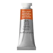 Winsor & Newton 14ml Professional Watercolour Art Paint Tube Burnt Sienna S1