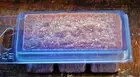 6pk 100hr SMOKED WOOD & CEDAR Soy Clam MELTS for OIL BURNER TRIPLE SCENTED GIFT