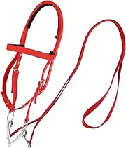 Horse Bridle - Thickened Horse Head Collar | Adjustable Safety Headcollar | Trail Riding Horse Snaffle, Soft Lined Trail Riding Equestrian Supplies, Nylon Equine Noseband Reins for Women Men