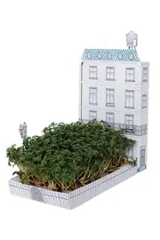 City Townhouse Mini Garden Kit--TEL-AS-TOWN1