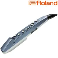 在飛比找Yahoo奇摩購物中心優惠-『ROLAND樂蘭』Aerophone GO電子薩克斯風 A