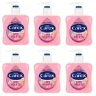Carex Fun Editions Love Hearts Hand Wash Pack of 6 Antibacterial Hand Soap wi...