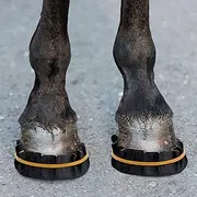 diytoolsman 12 Pack Horse Hoof Tape, Strong Sticky Hoof Wrap for Abscess & Laminitis Treatment for Horses, Convenient and Protective Solution