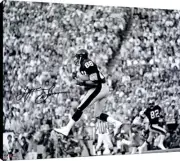 Lynn Swann Canvas Wall Art - Leaping Catch