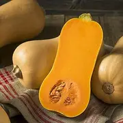 Pumpkin Waltham Butternut 10 Seeds Vegetable Garden