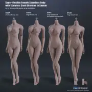 1/6 Seamless Female Action Figure Body Suntan Tbleague S06B Mid Bust F 12" Doll