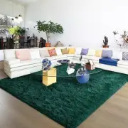Ultra Soft Fluffy Rugs for Bedroom 6x9 Feet, Shag Area Rugs for Living Room,