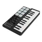High Quality Worlde Panda Mini 25-Key USB Keyboard and Drum Pad MIDI Controller