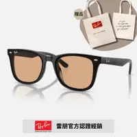 在飛比找PChome24h購物優惠-【RayBan 雷朋】膠框太陽眼鏡(RB4391D-601/