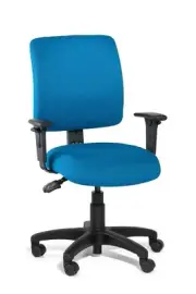 Gregory Boxta Medium Back Ergonomic Chair with Fabric Back
