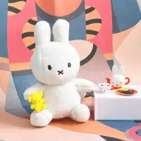 在飛比找PChome24h購物優惠-Miffy米菲兔幸運盒裝填充玩偶 10cm