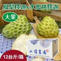 在飛比找台灣好農優惠-【山耀農場】鳳梨釋迦x水蜜桃釋迦 大果 12台斤/箱