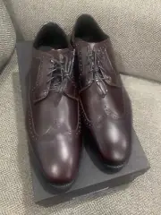 Allen Edmonds Greene Street Wingtip 10 D Mahogany New With Box