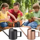 Mini Watering Can for Indoor Plants 300ml Stainless Steel Watering Pot caDBU