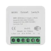 Convenient Installation WiFi Smart Switch Light Switch Timer Function 16A