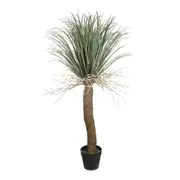 [Florabelle Living] Grass Tree Large 2M