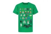 Minecraft Boys Sprites T-Shirt (Green) (13-14 Years)