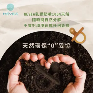 丹麥HEVEA彩色拇指型奶嘴2入組 - 香蕉黃＆牛奶白 | 3個月以上