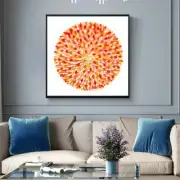 Abstract Original 3d Artwork On Canvas Framed Feathers Juju Hat Art Work