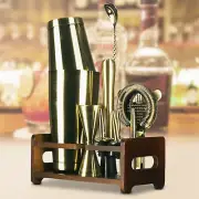 Cocktail Shaker Set Mixer Martini Spirits Bar Strainer Bartender Kit 10pcs 840ml