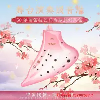 在飛比找Yahoo!奇摩拍賣優惠-樂器TNG陶笛 復管陶笛三管陶笛AC調中音C調 初學入門演奏