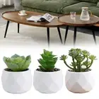 For Home Decor Artificial Succulents Desktop Decoration Easy Maintenance