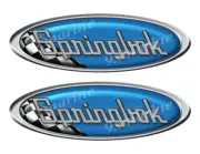 Two Springbok Vinyl Racing Oval Stickers - 10" long each- Rendered to look puffy