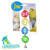 在飛比找蝦皮商城優惠-JW鳥專用彩色串珠玩具