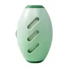 Lint Roller Washable Lint Remover Reusable Portable Mini Lint Roller (Green) Hot