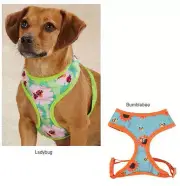 Soft Fabric Flutter Bugs Dog Harness Harnesses Zack & Zoey Mesh Pet