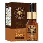 Old Tree Clove Bud Essential Oil Pack Of 15ml