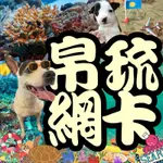 【麻糬帛琉上網卡】🇵🇼限時促銷加免運🌟帛琉網卡 帛琉 隨插即用 帛琉上網卡 網路 浮潛 珊瑚 自由行 新北三重可面交