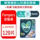 【Pampers幫寶適】安睡褲/紙尿褲120片 (L-9~14Kg)【SDD水噹噹洋貨批發】