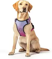 No Pull Dog Harness, Reflective Adjustable Dog Vest with Front/Back Clip Easy Control Handle for Medium Sized Large Small Dogs Walking Training Running(XLarge,Red)