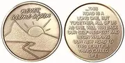 Bulk Lot of 25 Never Alone Again Sunrise River Bronze AA Medallion Chip Set