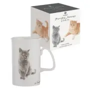 Ashdene Purrrfect Moments Mug - British Short Hair