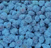 Sour Blue raspberry Gushers Mama V’s Gushers TikTok Viral Sensation Candy