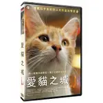 合友唱片 愛貓之城 (DVD) KEDI