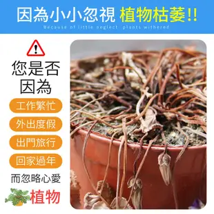 自動澆花滴水器 盆栽植物 園藝澆水 澆花器 灑水器 滴灌器 滲水器 盆栽 園藝 水平 植物