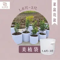 在飛比找蝦皮購物優惠-【拈花微笑】美植袋｜1.6尺-3尺｜美植袋｜移植種植｜樹木種