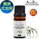 ANDZEN 單方純精油10ml-澳洲尤加利 天然 草本