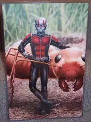 Avengers Ant Man Glossy Print 11 x 17 In Hard Plastic Sleeve