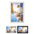 17in Digital Photo Frame HD 1080P 1440x900 16:10 IPS Screen MMC Card SP5
