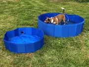 K9 Homes Swimming Pool Large