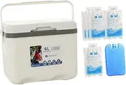 Perfeclan Ice Chest Box, Camping Cooler, Personal for Freeze/Hot Food 6 L Cold Case with Ice Pack for Party Stall BBQ Commercial Picnic