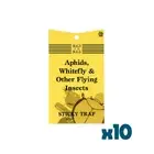 10 X Sticky Fly Trap. Aphids, Whitefly, Scarid Fly/Fungas Gnat And Other Insects
