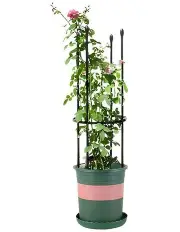 [SOGA] 4-Bar Plant Frame Stand With Rings 73cm in Black