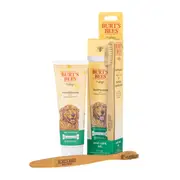 Burts Bees Natural Oral Care Kit Mint Toothpaste And Brush For Dogs